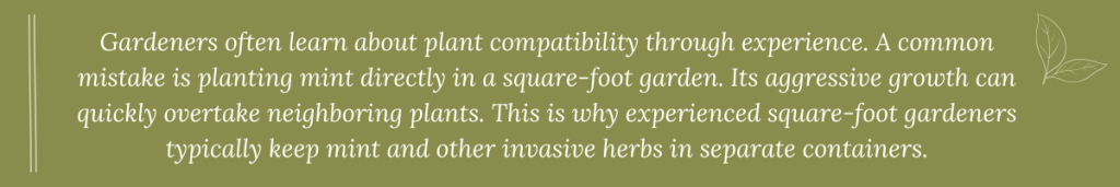 Informational graphic advising that mint should not be planted directly in a square foot garden due to its aggressive growth overtaking other plants.
