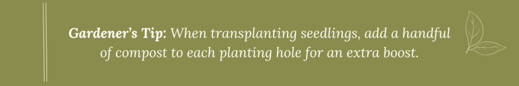 Gardener’s Tip graphic: "When transplanting seedlings, add a handful of compost to each planting hole for an extra boost.
