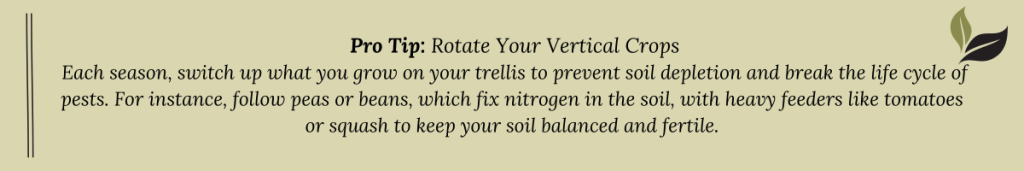 Pro tip suggesting vertical crop rotation on trellises in a square foot garden to prevent soil depletion and improve fertility across growing seasons.