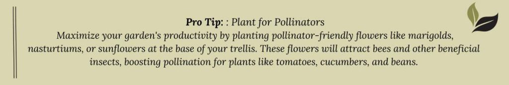 Pro tip recommending pollinator-friendly flowers at the base of a trellis to enhance productivity and attract beneficial insects.