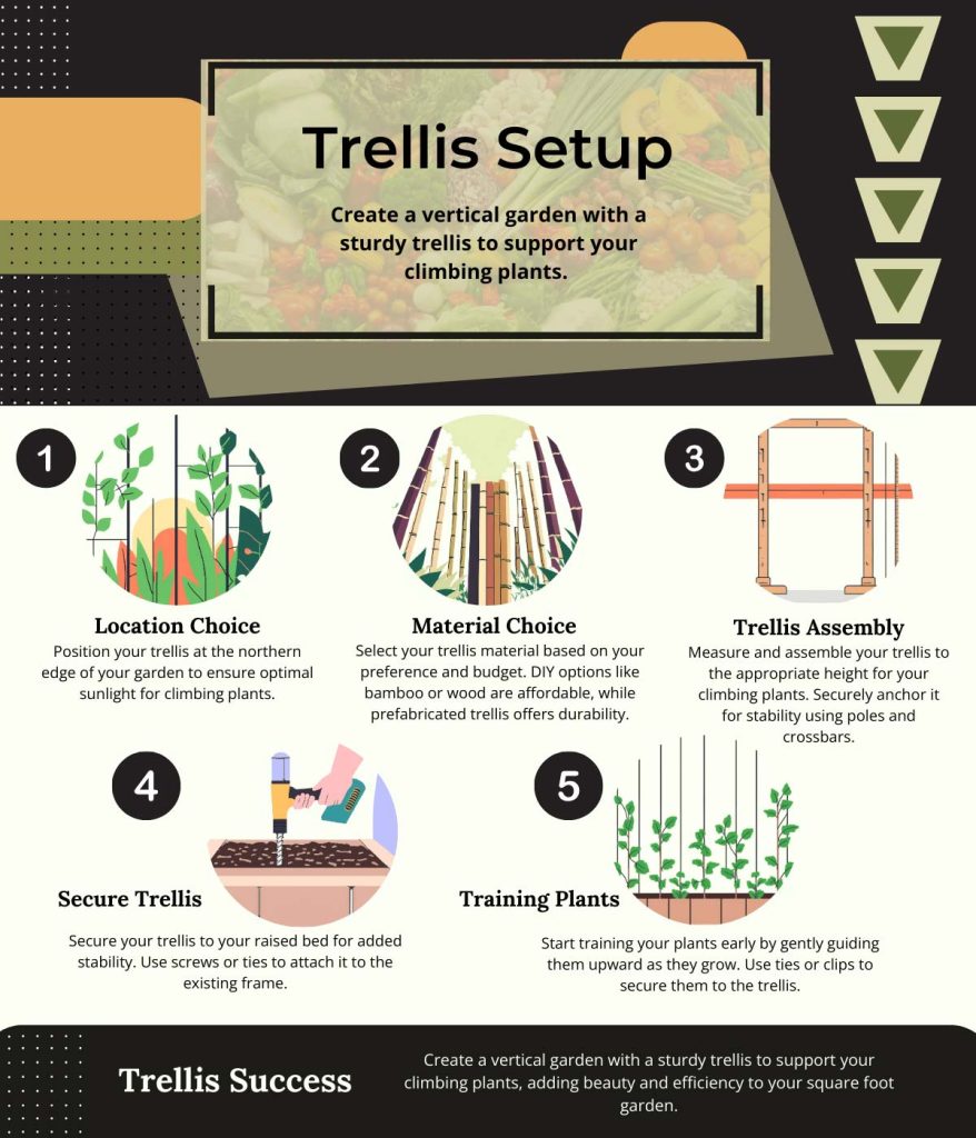 Infographic showing step-by-step trellis setup for a square foot garden, including location, materials, assembly, securing, and training plants to climb.