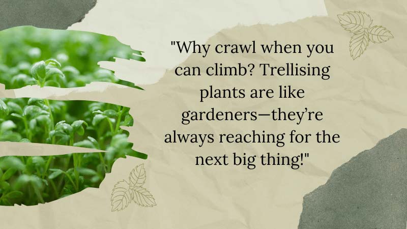 Inspirational gardening quote about trellising for a square foot garden with a leafy background and plant imagery.