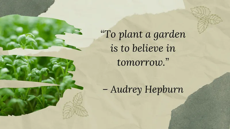 "Quote by Audrey Hepburn: 'To plant a garden is to believe in tomorrow,' overlaid on a background with green seedlings and torn paper textures."