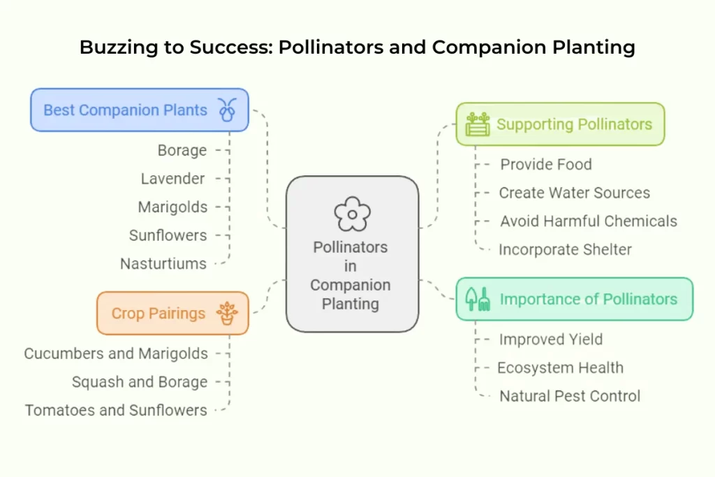 Diagram showing the role of pollinators in companion planting, including best companion plants, crop pairings, supporting pollinators, and their importance.