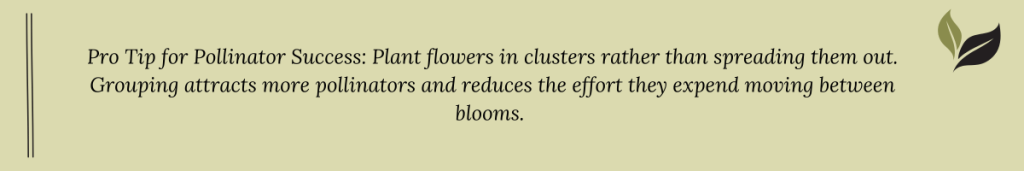 Graphic with a pro tip recommending planting flowers in clusters to attract more pollinators and reduce their travel effort.