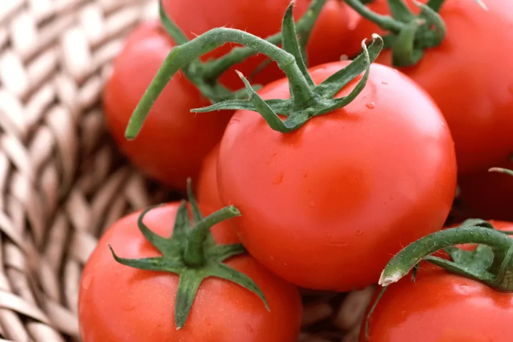 Fresh red tomatoes with green stems arranged in a woven basket.